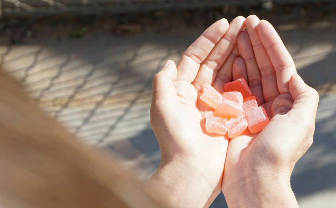 Legal, Safe Hemp THC Guide: The Subscription That Changes Everything