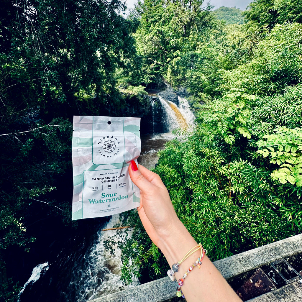 Next-Gen Nibbles: Traditional Edibles vs. Nano-Emulsified Fast-Acting Edibles