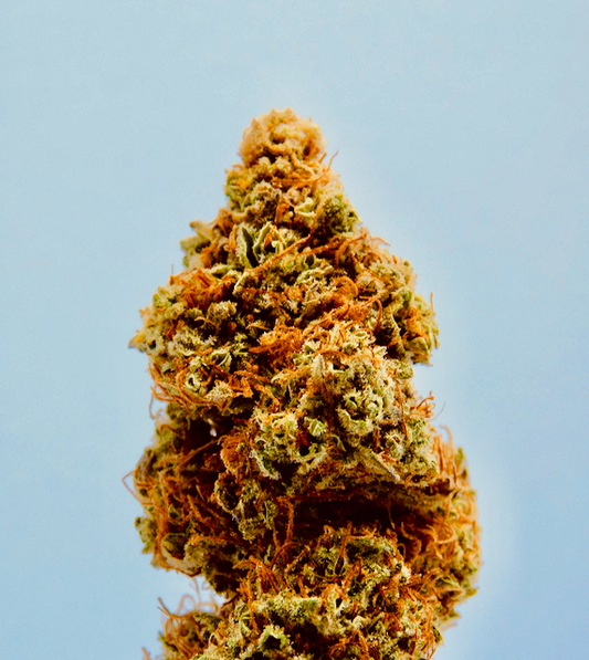 Understanding the Difference between CBD and Delta-9 THC