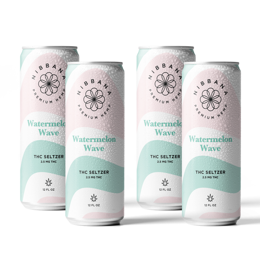 Watermelon Wave Seltzer 4 Pack