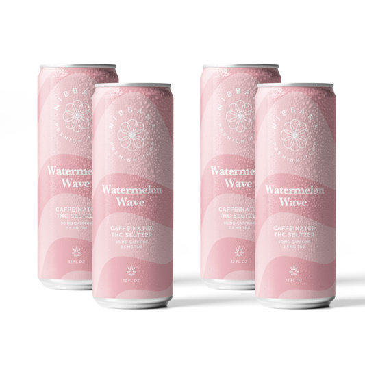 Watermelon Wave Caffeinated Seltzer